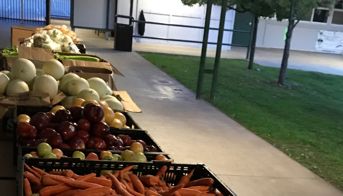 Produce from Hamilton's weekly Family Market.